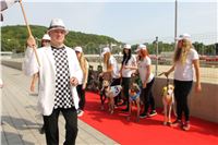 Chrti_dostihy_Greyhound_Company_Cup_Racing_Prague_CGDF_IMG_8451.jpg