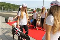 Chrti_dostihy_Greyhound_Company_Cup_Racing_Prague_CGDF_IMG_8454.jpg