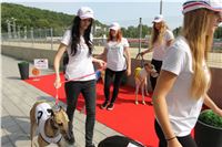 Chrti_dostihy_Greyhound_Company_Cup_Racing_Prague_CGDF_IMG_8455.jpg