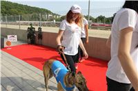 Chrti_dostihy_Greyhound_Company_Cup_Racing_Prague_CGDF_IMG_8456.jpg