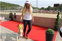 Chrti_dostihy_Greyhound_Company_Cup_Racing_Prague_CGDF_IMG_8457.jpg