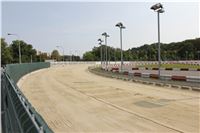 Chrti_dostihy_Greyhound_Company_Cup_Racing_Prague_CGDF_IMG_8458.jpg