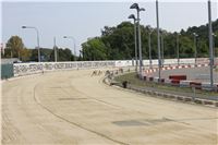 Chrti_dostihy_Greyhound_Company_Cup_Racing_Prague_CGDF_IMG_8466.jpg