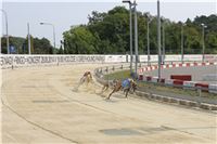 Chrti_dostihy_Greyhound_Company_Cup_Racing_Prague_CGDF_IMG_8470.jpg