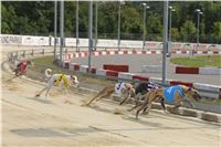 Chrti_dostihy_Greyhound_Company_Cup_Racing_Prague_CGDF_IMG_8471.jpg