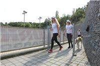 Chrti_dostihy_Greyhound_Company_Cup_Racing_Prague_CGDF_IMG_8477.jpg