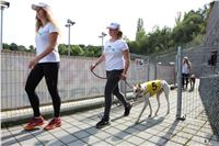 Chrti_dostihy_Greyhound_Company_Cup_Racing_Prague_CGDF_IMG_8478.jpg