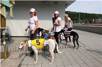Chrti_dostihy_Greyhound_Company_Cup_Racing_Prague_CGDF_IMG_8484.jpg