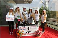 Chrti_dostihy_Greyhound_Company_Cup_Racing_Prague_CGDF_IMG_8492.jpg
