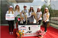 Chrti_dostihy_Greyhound_Company_Cup_Racing_Prague_CGDF_IMG_8493.jpg