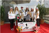 Chrti_dostihy_Greyhound_Company_Cup_Racing_Prague_CGDF_IMG_8497.jpg