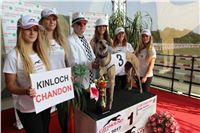 Chrti_dostihy_Greyhound_Company_Cup_Racing_Prague_CGDF_IMG_8500.jpg