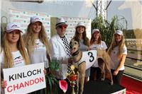 Chrti_dostihy_Greyhound_Company_Cup_Racing_Prague_CGDF_IMG_8502.jpg