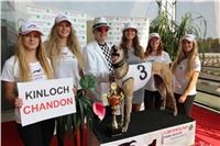 Chrti_dostihy_Greyhound_Company_Cup_Racing_Prague_CGDF_IMG_8503.jpg