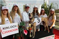 Chrti_dostihy_Greyhound_Company_Cup_Racing_Prague_CGDF_IMG_8504.jpg