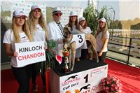 Chrti_dostihy_Greyhound_Company_Cup_Racing_Prague_CGDF_IMG_8510.jpg