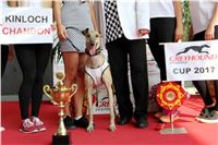 Chrti_dostihy_Greyhound_Company_Cup_Racing_Prague_CGDF_IMG_8518.jpg