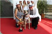 Chrti_dostihy_Greyhound_Company_Cup_Racing_Prague_CGDF_IMG_8524.jpg