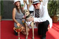 Chrti_dostihy_Greyhound_Company_Cup_Racing_Prague_CGDF_IMG_8525.jpg