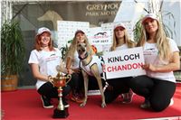 Chrti_dostihy_Greyhound_Company_Cup_Racing_Prague_CGDF_IMG_8531.jpg