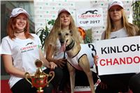 Chrti_dostihy_Greyhound_Company_Cup_Racing_Prague_CGDF_IMG_8533.jpg