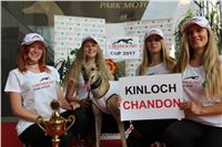 Chrti_dostihy_Greyhound_Company_Cup_Racing_Prague_CGDF_IMG_8534.jpg