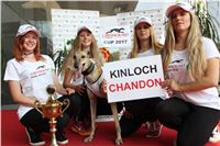Chrti_dostihy_Greyhound_Company_Cup_Racing_Prague_CGDF_IMG_8536.jpg