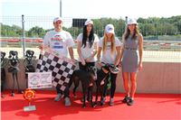 Chrti_dostihy_Greyhound_Company_Cup_Racing_Prague_CGDF_IMG_8545.jpg