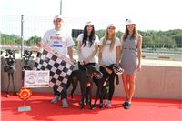 Chrti_dostihy_Greyhound_Company_Cup_Racing_Prague_CGDF_IMG_8546.jpg