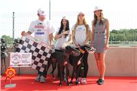 Chrti_dostihy_Greyhound_Company_Cup_Racing_Prague_CGDF_IMG_8547.jpg