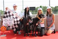 Chrti_dostihy_Greyhound_Company_Cup_Racing_Prague_CGDF_IMG_8549.jpg