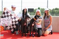 Chrti_dostihy_Greyhound_Company_Cup_Racing_Prague_CGDF_IMG_8552.jpg