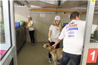 Chrti_dostihy_Greyhound_Company_Cup_Racing_Prague_CGDF_IMG_8581.jpg