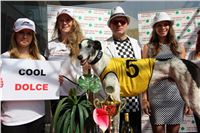 Chrti_dostihy_winner_Greyhound_Company_Cup_Czech_Racing_Prague_CGDF-1.jpg