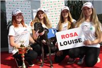 Chrti_dostihy_winner_Greyhound_Company_Cup_Racing_Prague_CGDF-2.jpg