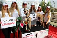 Chrti_dostihy_winner_Greyhound_Company_Cup_Racing_Prague_CGDF-3.jpg
