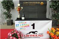 Chrt_dostihy_Czech_St_Leger_Greyhound_Park_Motol_Praha_1_2017_IMG_8697.JPG