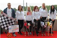 Chrt_dostihy_Czech_St_Leger_Greyhound_Park_Motol_Praha_2017_IMG_8645.JPG