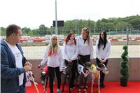 Chrt_dostihy_Czech_St_Leger_Greyhound_Park_Motol_Praha_2017_IMG_8646.JPG