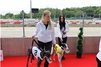 Chrt_dostihy_Czech_St_Leger_Greyhound_Park_Motol_Praha_2017_IMG_8649.JPG