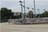 Chrt_dostihy_Czech_St_Leger_Greyhound_Park_Motol_Praha_2017_IMG_8655.JPG