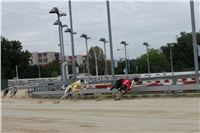 Chrt_dostihy_Czech_St_Leger_Greyhound_Park_Motol_Praha_2017_IMG_8656.JPG