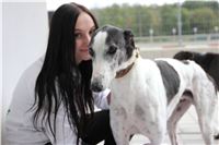 Chrt_dostihy_Czech_St_Leger_Greyhound_Park_Motol_Praha_2017_IMG_8672.JPG