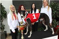 Chrt_dostihy_Czech_St_Leger_Greyhound_Park_Motol_Praha_2017_IMG_8678.JPG