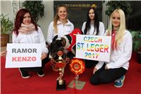 Chrt_dostihy_Czech_St_Leger_Greyhound_Park_Motol_Praha_2017_IMG_8689.JPG