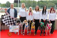 Chrt_dostihy_Czech_St_Leger_Greyhound_Park_Motol_Praha_2017_IMG_8713.JPG