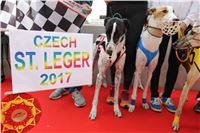 Chrt_dostihy_Czech_St_Leger_Greyhound_Park_Motol_Praha_2017_IMG_8715.JPG
