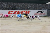 Chrt_dostihy_Czech_St_Leger_Greyhound_Park_Motol_Praha_2017_IMG_8730.JPG