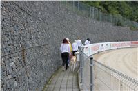 Chrt_dostihy_Czech_St_Leger_Greyhound_Park_Motol_Praha_2017_IMG_8744.JPG