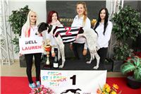 Chrt_dostihy_Czech_St_Leger_Greyhound_Park_Motol_Praha_2017_IMG_8760.JPG